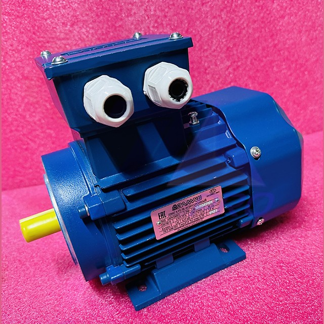 Двигатель асинхронный 220/380В 0,37кВт 1,93/1,12А 1340об/мин (мал.фланец+лапы) IM2181 F100 АИР63В4У2