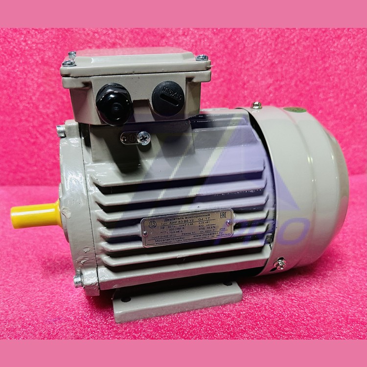 Двигатель асинхронный 0,25кВт 220/380В 870об/мин 1,7/0,98А (крепление лапы) IM1081 АИР63В6У2