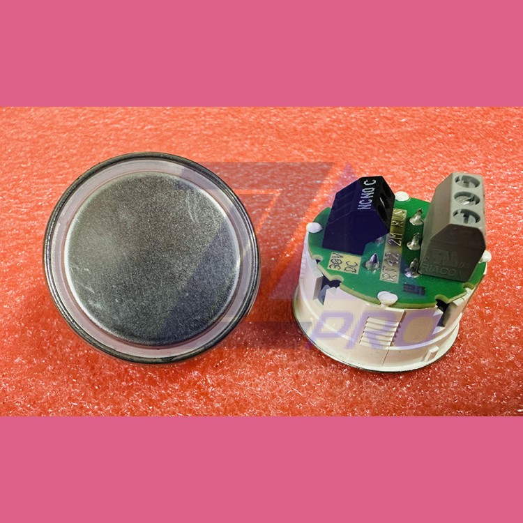 Кнопочный модуль без символов RT42 2М RUS Schaefer